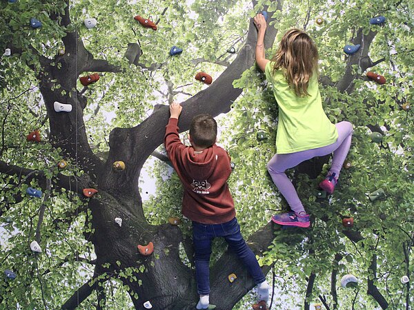 Kinder klettern an Kletterwand