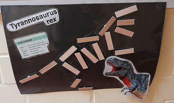 Skellet von Dino anhand von Bauklötzen
