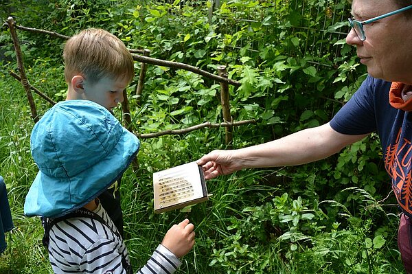 Kinder betrachten Waldbienenhotel