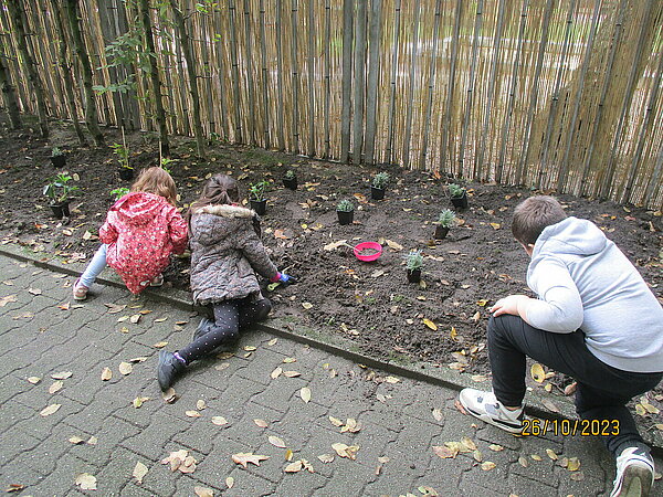 Kinder bepflanzen Beet