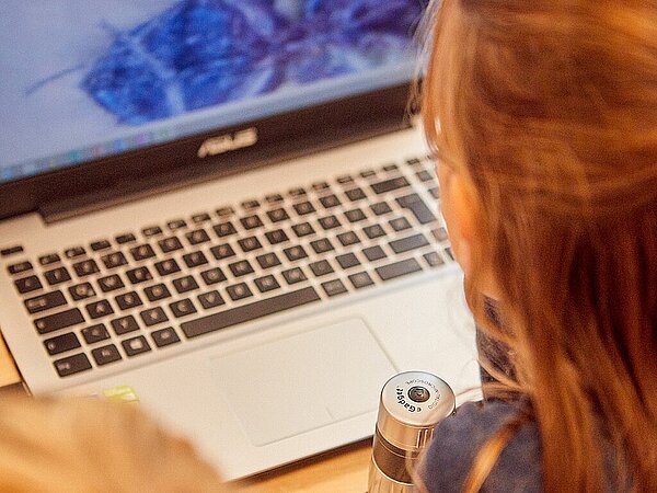 Kind sitzt vor einem Laptop